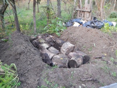 1DSCN4721.JPG (168.86 KiB) Osservato 2382 volte 1DSCN4721.JPG