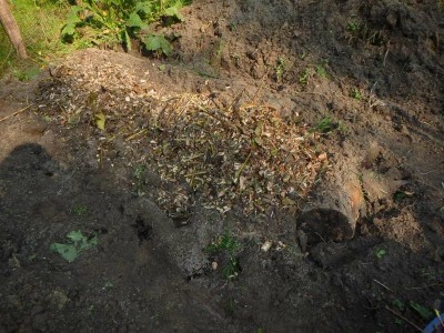 2a.JPG (154.87 KiB) Osservato 2382 volte 2a.JPG