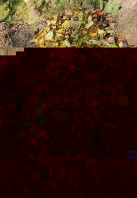 3aDSCN4735.JPG (143.45 KiB) Osservato 2382 volte 3aDSCN4735.JPG