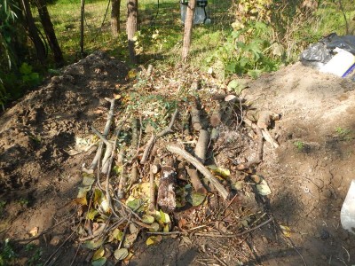 3DSCN4764.JPG (201.12 KiB) Osservato 2382 volte 3DSCN4764.JPG