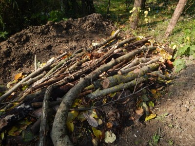 3fDSCN4740.JPG (183.83 KiB) Osservato 2381 volte 3fDSCN4740.JPG