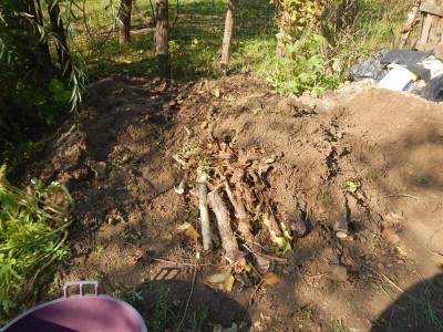 4DSCN4767-001.JPG (188.12 KiB) Osservato 2381 volte 4DSCN4767-001.JPG