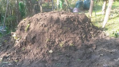 6.jpg (141.67 KiB) Osservato 2381 volte 6.jpg