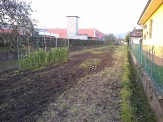 IL MIO PEZZO DI TERRENO / CAM01954 (FILEminimizer).jpg CAM01954 (FILEminimizer).jpg