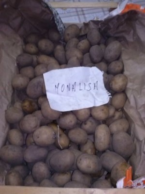 CAM01961 (FILEminimizer).jpg (23.43 KiB) Osservato 2455 volte CAM01961 (FILEminimizer).jpg