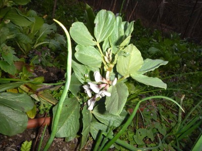 1-DSCN6192.JPG (129.88 KiB) Osservato 863 volte 1-DSCN6192.JPG