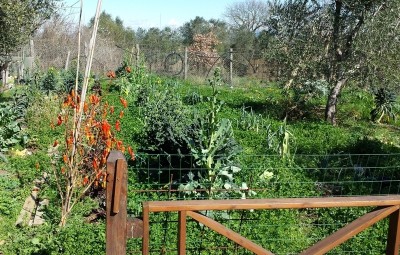 14.jpg (385.51 KiB) Osservato 3520 volte 14.jpg