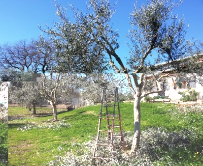 15.jpg (277.08 KiB) Osservato 3520 volte 15.jpg