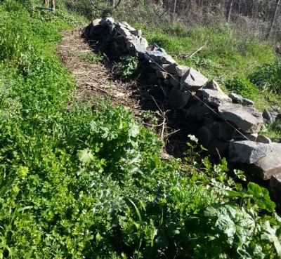 16.jpg (286.31 KiB) Osservato 3520 volte 16.jpg