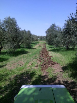 Prima / 12963668_10208962128641067_5738513037103066545_n.jpg 12963668_10208962128641067_5738513037103066545_n.jpg