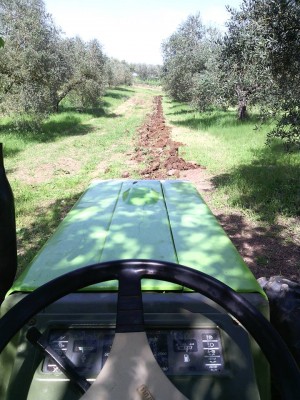 Prima / 12670536_10208962131241132_5202924803539887208_n.jpg 12670536_10208962131241132_5202924803539887208_n.jpg