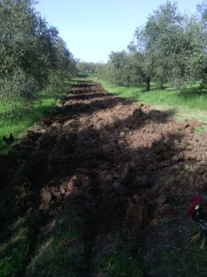 Dopo / 12963396_10208962131801146_6579597645899924427_n.jpg 12963396_10208962131801146_6579597645899924427_n.jpg