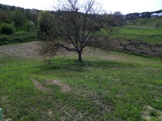 1460320788958.jpg 1460320788958.jpg