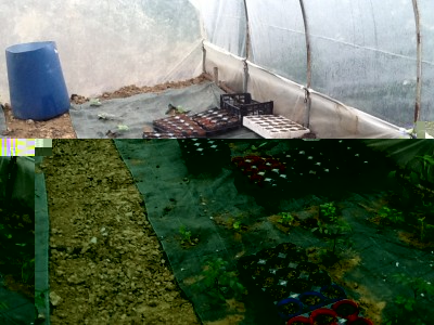 image.jpeg (320.66 KiB) Osservato 863 volte image.jpeg