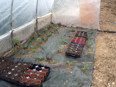 image.jpeg (308.14 KiB) Osservato 863 volte image.jpeg