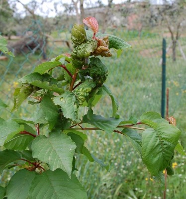 82.JPG (152.21 KiB) Osservato 902 volte 82.JPG