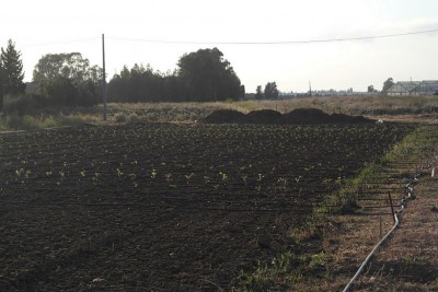 SAM_2788 mod.jpg (294.33 KiB) Osservato 1938 volte SAM_2788 mod.jpg