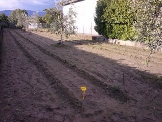 CAM02016 (FILEminimizer).jpg CAM02016 (FILEminimizer).jpg