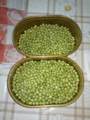 CAM02035 (FILEminimizer).jpg (33.21 KiB) Osservato 706 volte CAM02035 (FILEminimizer).jpg