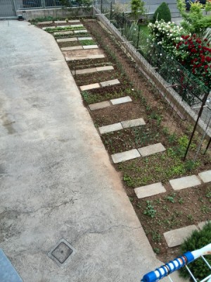 veduta aerea dell'orto a lato della casa / aerea_1.jpg aerea_1.jpg