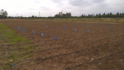 WP_20160509_11_29_43_Pro.jpg (280.28 KiB) Osservato 1656 volte WP_20160509_11_29_43_Pro.jpg