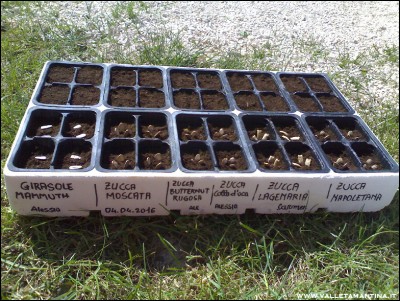04-04-2016semina-zucche-girasoli.jpg (354.92 KiB) Osservato 2909 volte 04-04-2016semina-zucche-girasoli.jpg