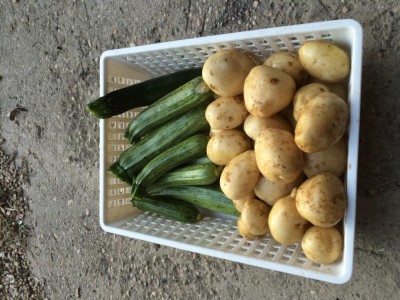 image.jpeg (141.2 KiB) Osservato 870 volte image.jpeg