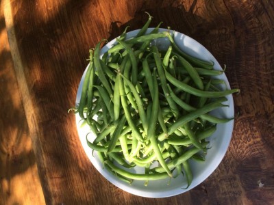 Fagiolini nani / image.jpeg image.jpeg