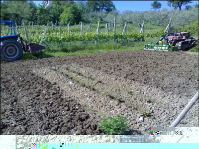 07052016lavoraz-secondo-orto.jpg (397.44 KiB) Osservato 769 volte 07052016lavoraz-secondo-orto.jpg