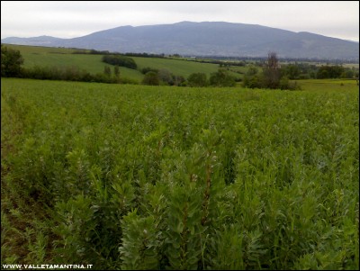 08052016favino.jpg (219.38 KiB) Osservato 767 volte 08052016favino.jpg