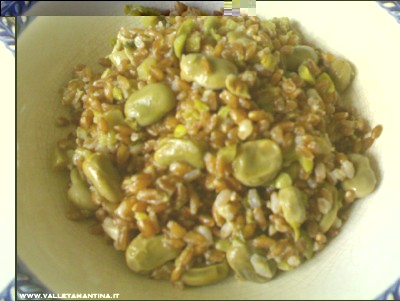 11052016farro-fave.jpg (179.56 KiB) Osservato 765 volte 11052016farro-fave.jpg