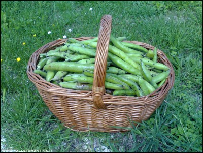 16052016fave.jpg (345.23 KiB) Osservato 761 volte 16052016fave.jpg