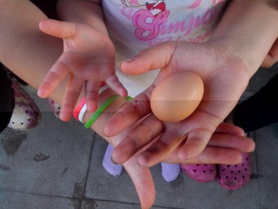 fine maggio 014.jpg (71.15 KiB) Osservato 664 volte fine maggio 014.jpg