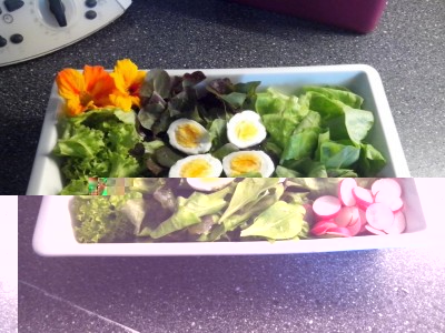 Insalatona di casa....coltivato, raccolto e mangiato / uova 001.jpg uova 001.jpg