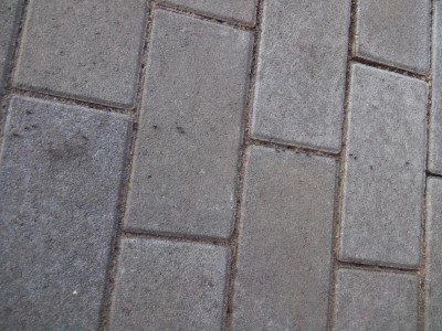 lavoratrici / fiori 31.05.2016 023.jpg fiori 31.05.2016 023.jpg