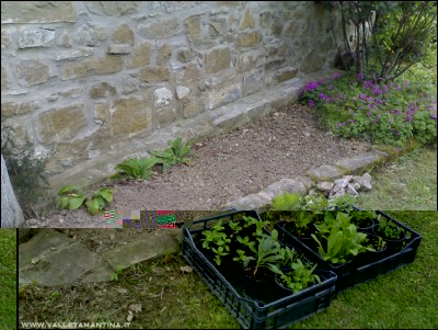 18052016aiuola-2.jpg (285.06 KiB) Osservato 655 volte 18052016aiuola-2.jpg