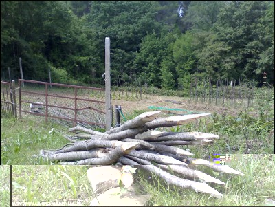 25052016pali-orto.jpg (329.23 KiB) Osservato 655 volte 25052016pali-orto.jpg