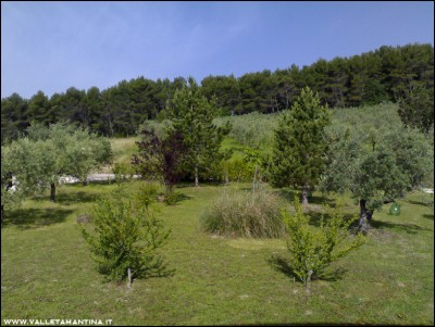 27052016giardino-casa.jpg (246.12 KiB) Osservato 653 volte 27052016giardino-casa.jpg