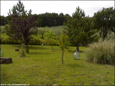 28052016giardino-casa.jpg (254.16 KiB) Osservato 653 volte 28052016giardino-casa.jpg