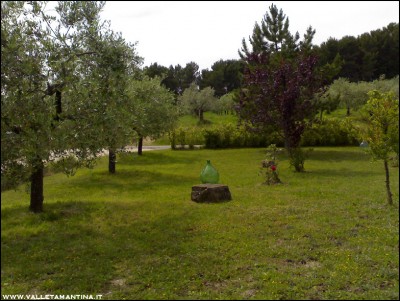 28052016giardino-casa2.jpg (254.35 KiB) Osservato 653 volte 28052016giardino-casa2.jpg