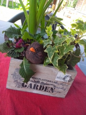 Deko / 01.06.2016 013.jpg 01.06.2016 013.jpg