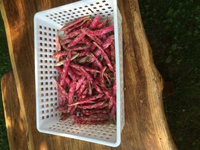 image.jpeg (127.97 KiB) Osservato 611 volte image.jpeg