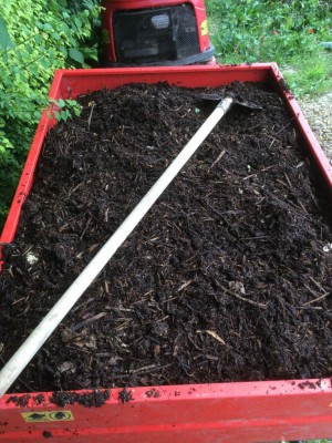 Cippato sul potente mezzo / image.jpeg image.jpeg