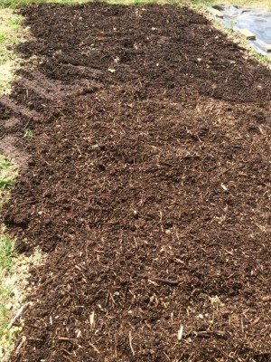 image.jpeg (282.1 KiB) Osservato 578 volte image.jpeg