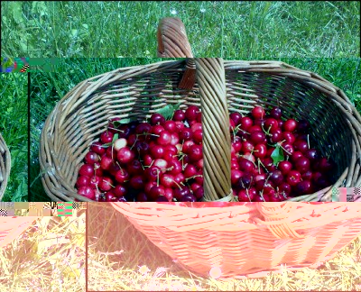 28052016ciliegie.jpg (358.01 KiB) Osservato 633 volte 28052016ciliegie.jpg