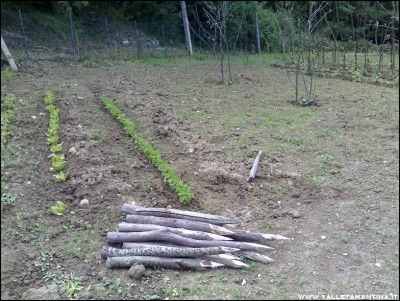 29052016picchetti.jpg (311.54 KiB) Osservato 628 volte 29052016picchetti.jpg