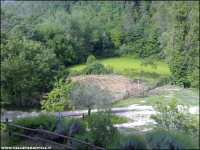 26052016panoramica.jpg (289.88 KiB) Osservato 626 volte 26052016panoramica.jpg