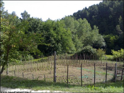 28052016panoramica.jpg (286.72 KiB) Osservato 626 volte 28052016panoramica.jpg