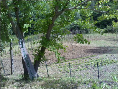 01062016panoramica.jpg (389.13 KiB) Osservato 626 volte 01062016panoramica.jpg