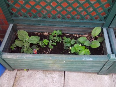 01.06.2016 007.jpg (117.01 KiB) Osservato 546 volte 01.06.2016 007.jpg